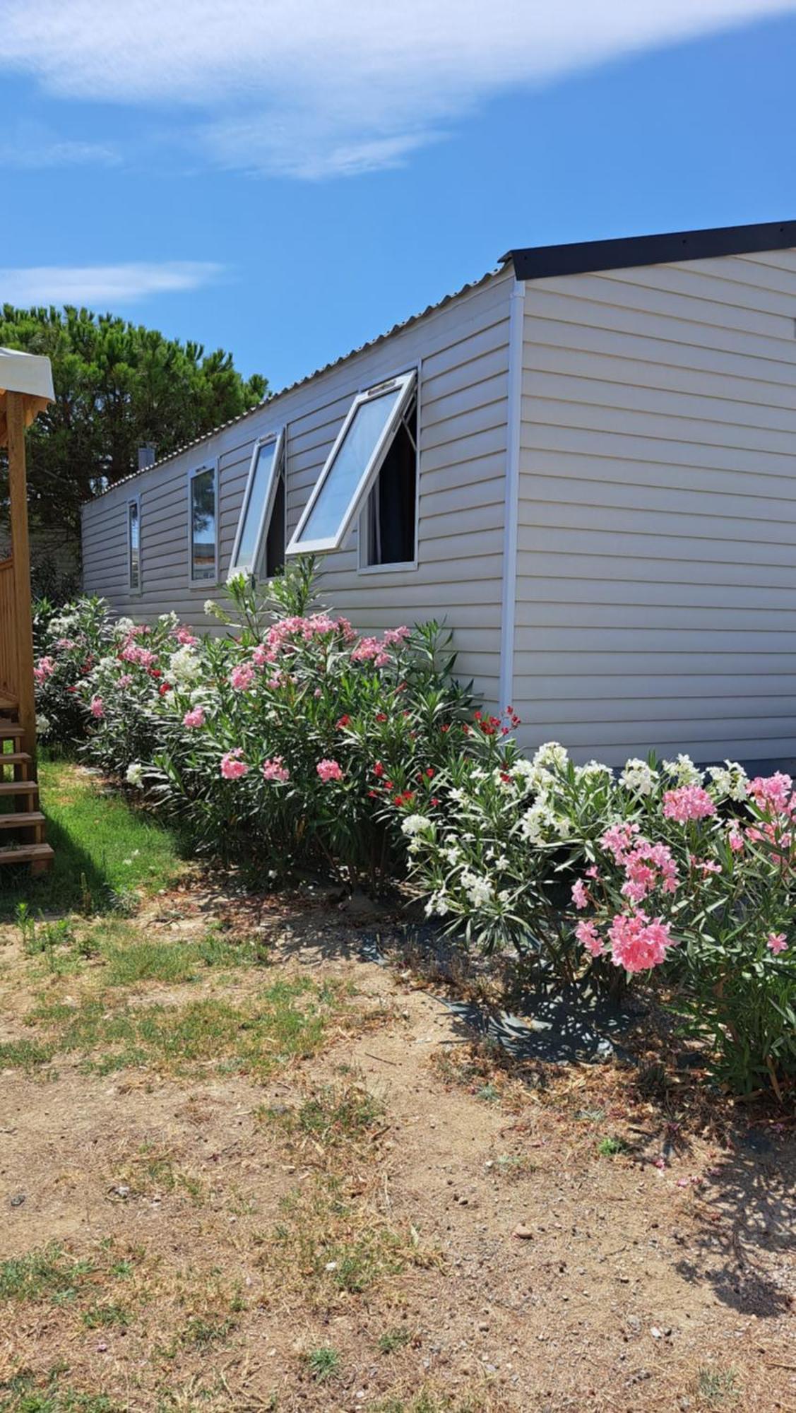 Hotel Chez Boby ! Canet-en-Roussillon Exterior foto